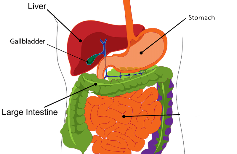 gallbladder attack symptoms